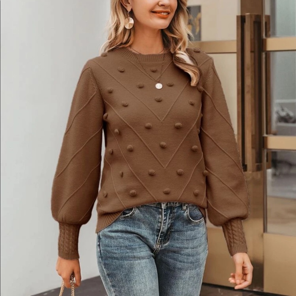 Brown  Pom Pom Sweater - Picture 3 of 5